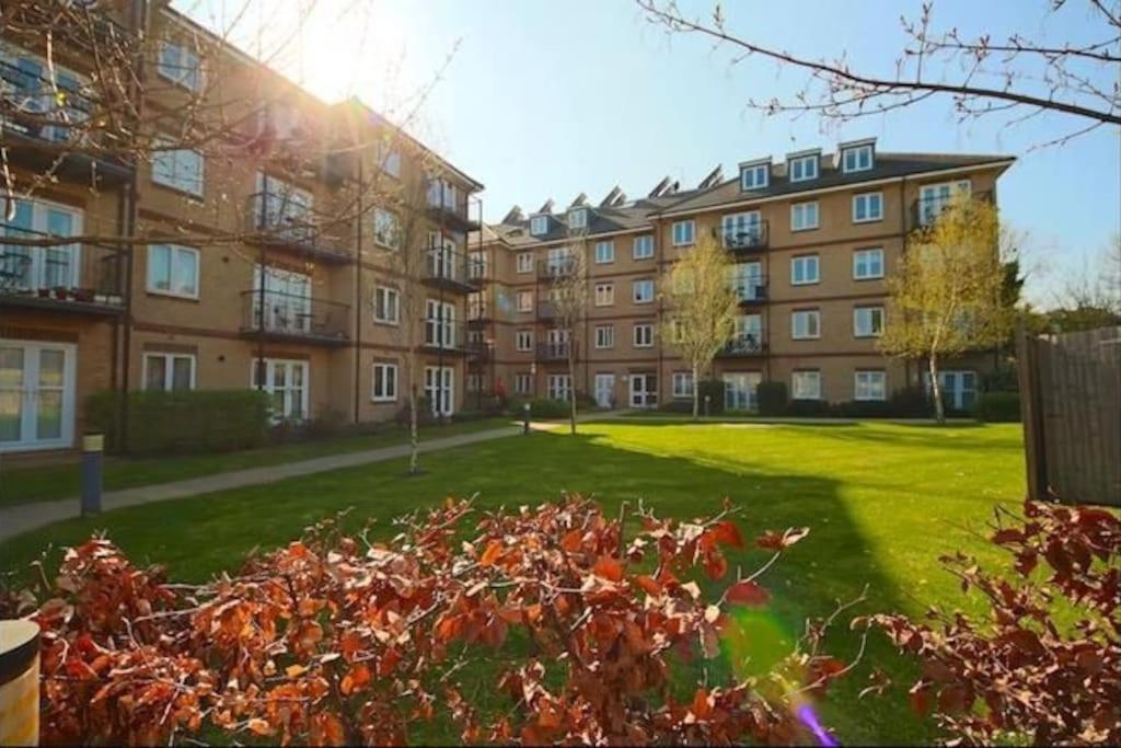 Elegant, Spacious 2bed In Crystal Palace, London